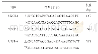表1 引物序列：乳癌术后方通过SDF-1/CXCR4生物轴对MDA-MB-453乳腺癌细胞增殖和转移的影响