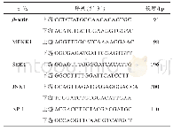 《表1 引物序列：基于MEKK1/SEK1/JNK1/AP-1通路探讨三七总皂苷对4T1乳腺癌荷瘤小鼠肿瘤模型的影响》