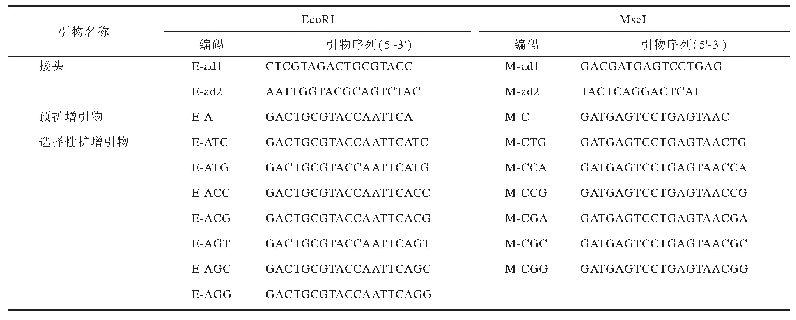表2 用于广藿香AFLP分析的限制性内切酶接头与引物序列