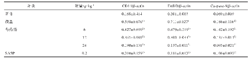 表3 芍药汤对大肠湿热型UC大鼠结肠黏膜组织中CD14,FADD,Caspase-8蛋白相对达量的影响（,n=3)