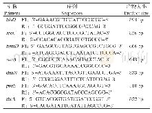 《表1 用于MLST分型的引物》
