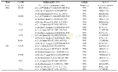 表7 与分离株核苷酸序列同源性最高的GenBank中的毒株