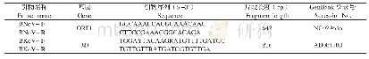 《表1 本研究引物：牛诺如病毒及牛嵴病毒双重PCR检测方法的建立及初步应用》