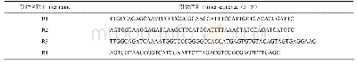 表1 桃蚜钠离子通道基因克隆所用引物