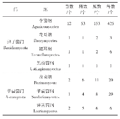 表1 物种统计表：贵州省食用菌资源概况