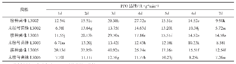 表2 不同金针菇子实体的PPO活性变化