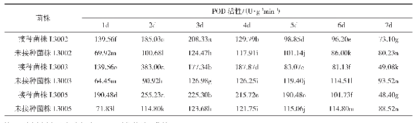 表3 不同金针菇子实体的POD活性变化