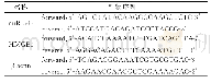 《表1 qRT-PCR的引物序列》