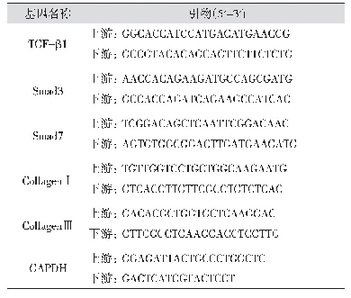 表1 大鼠肾纤维化检测指标的引物序列