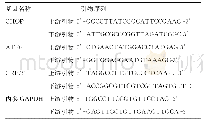 表1 CHOP、ATF6、GRP78和内参GAPDH基因引物序列
