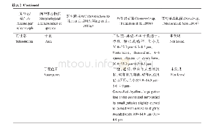 表2 茶树炭疽病病原菌优势种形态学特征
