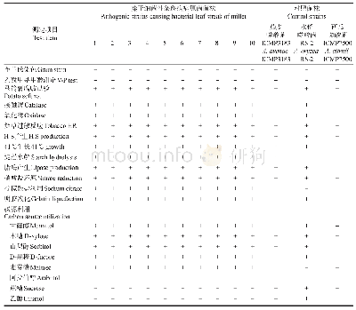 表1 供试菌株与近似种的生理生化反应测定结果