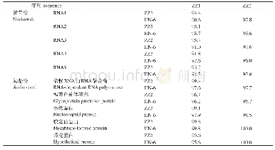 《表2 猕猴桃褪绿环斑相关病毒分离物ZZ1、ZZ2和HN-6之间核苷酸与氨基酸序列的同源率》