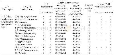 表2 中国5个春麦区196份小麦地方种质对条锈病的抗性鉴定及其抗病基因分子检测结果