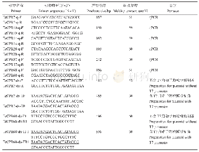 表1 褐色橘蚜RR-2型CPR家族基因定量和ds RNA合成相关引物信息
