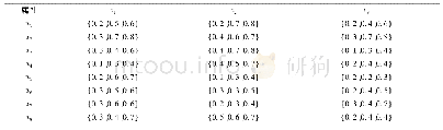 表2 犹豫模糊标准化决策矩阵