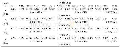 表3 徐矿集团各指标分别对新疆、贵州、青海、陕西的系统耦合系数