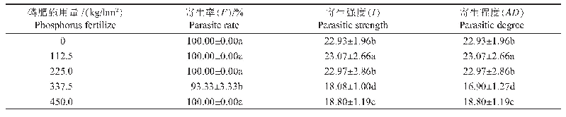 表2 磷肥施用量对向日葵列当发生的影响