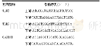 表1 TLR2、TLR9、GAPDH引物序列