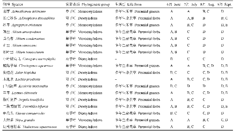 表1 内蒙古典型草原采样物种(名称、功能类群、物候期)与采样时间
