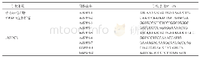 《表1 本研究使用的引物》