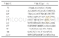 《表1 引物名称与序列：长期定位施肥条件下夏玉米籽粒清蛋白的比较蛋白质组学分析》