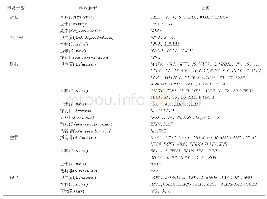 《表1 植物根系不同部位发育相关的基因》