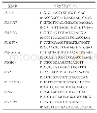 表1 检测甘薯候选基因表达的引物