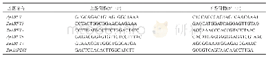表1 PCR引物序列：朝仓花椒ARF基因家族的鉴定及表达分析