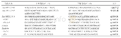 表1 引物序列：过表达玉米转录因子ZmWRKY101基因提高拟南芥植株的耐盐力