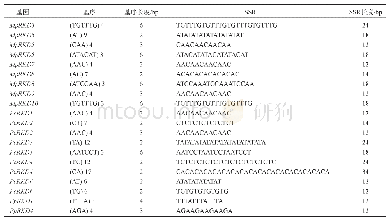 表4 苹果、梨、桃RKD基因中的简单重复序列