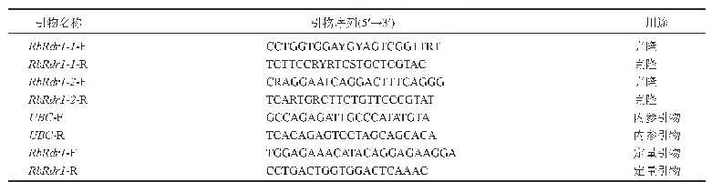 表1 木香花Rb Rdr1基因克隆和表达检测引物
