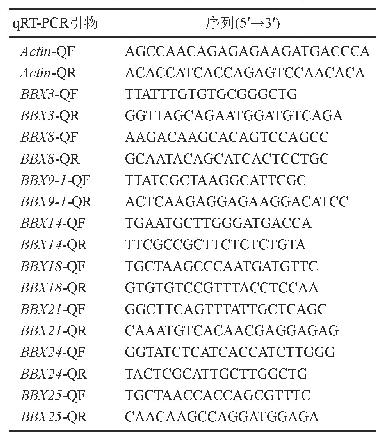 《表1 荧光定量PCR所用引物》