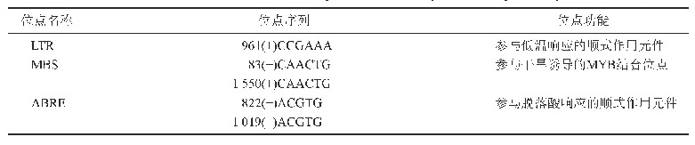 表2 Ppc ERF5基因启动子区顺式作用元件预测结果