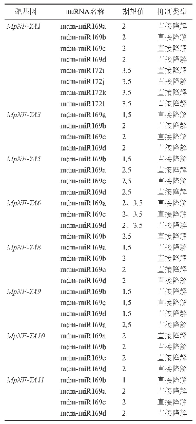 《表4 Mp NF-YA基因相关的mi RNA预测》