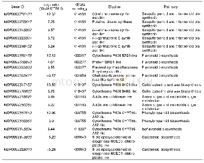 表2 茉莉酸甲酯处理下苹果叶片次生代谢物生物合成途径中的调控基因(Log2(MeJA/CTRL)≥3)