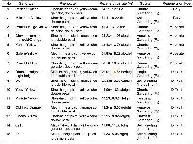 表1 不同万寿菊基因型的再生效率(平均值±标准差)