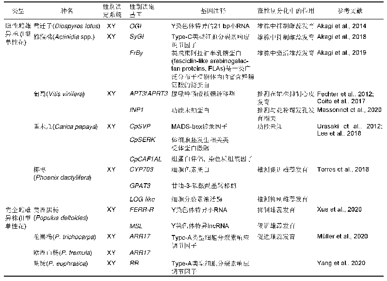 《表1 目前已鉴定的木本植物性别决定基因》