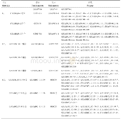 《表1 试验材料组合：斑茅割手密复合体杂交利用过程野生特异基因遗传分析》