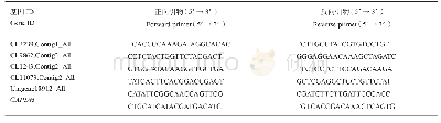 表1 实时荧光定量PCR引物