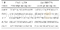 《表1 qRT-PCR引物序列》