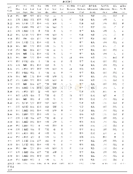 《表2 各烟草种质主要形态特性》