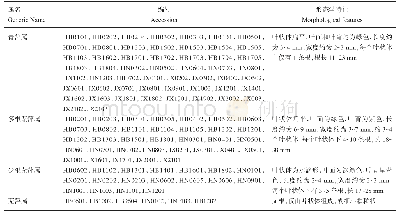 表2 长江中游地区浮萍种质的形态学分类