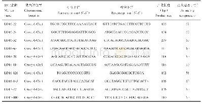 表2 中间偃麦草第6同源群部分特异分子标记