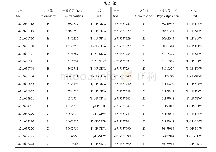 表2 大豆磷高效相关性状一因多效与两时期共关联SNPs