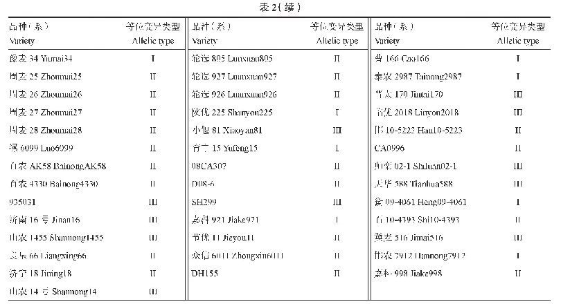 表2 供试小麦品种（系）等位变异类型