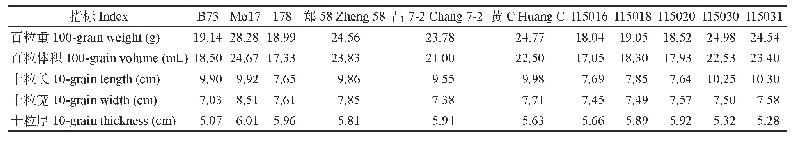 表5 11个自交系籽粒表型分析