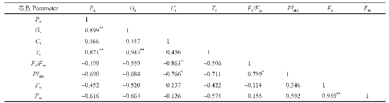 表3 气体交换参数及叶绿素荧光参数的相关性分析结果