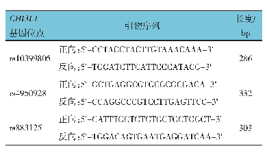 表1 CHI3L1基因rs10399805、rs4950928、rs883125位点基因SNP分析