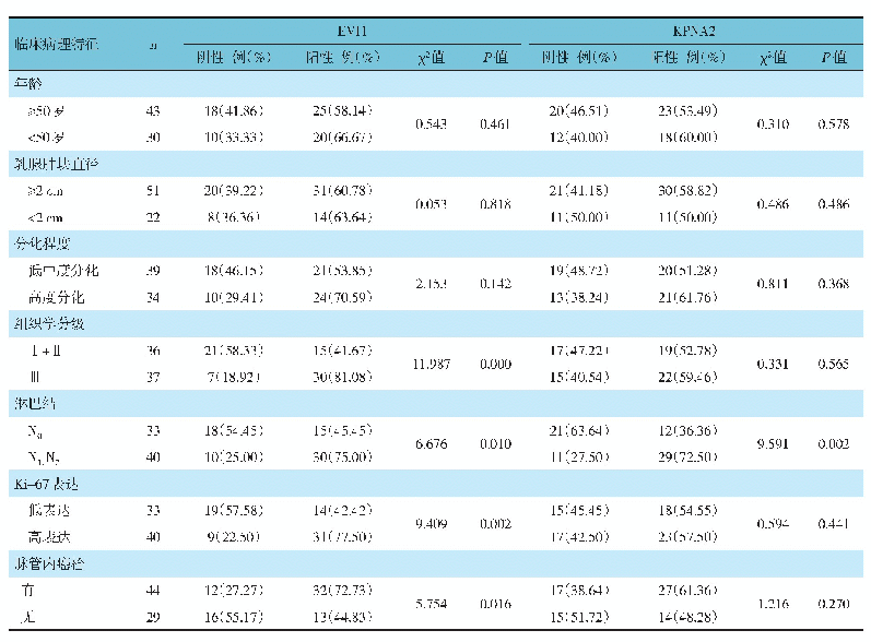 表2 不同临床病理特征的TNBC患者的EVI1、KPNA2阳性率的比较